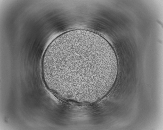 X0000097841056200804111059