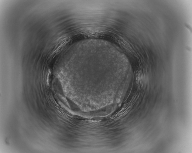 X0000097841060200804111058