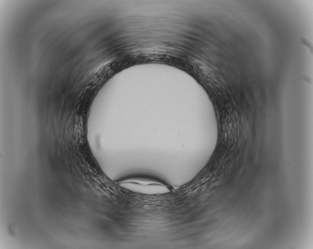 X0000097841062200804111058