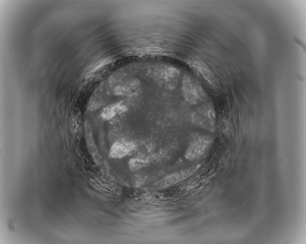 X0000097841063200804111058