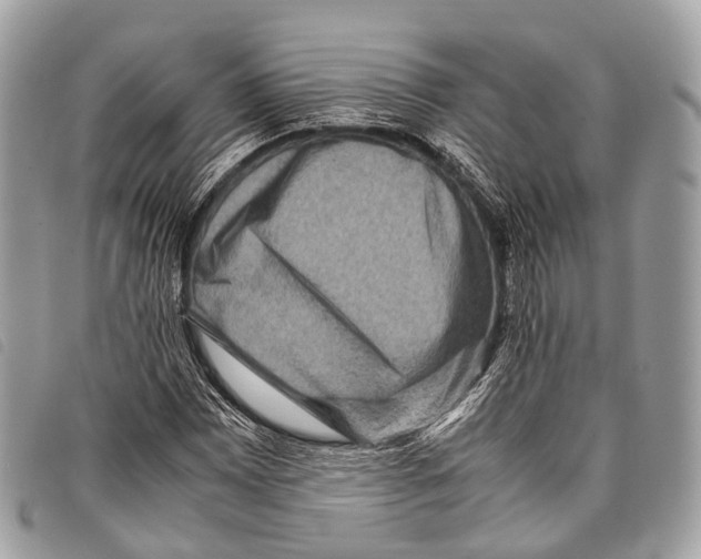 X0000097841065200804111058