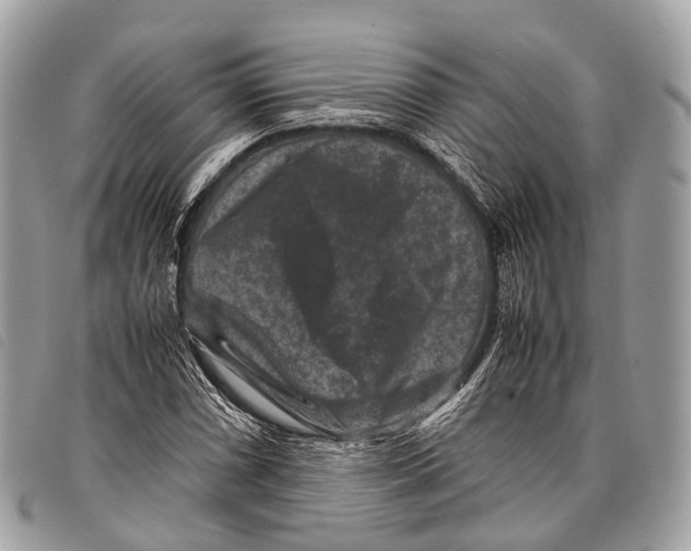 X0000097841066200804111058