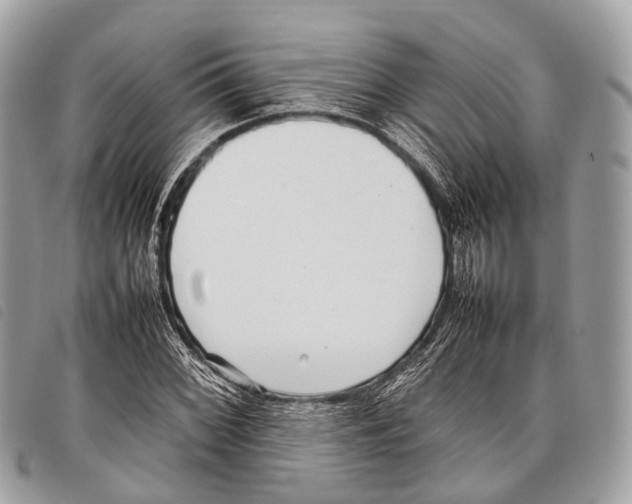 X0000097841068200804111058