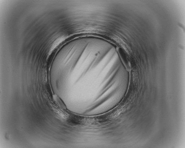 X0000097841069200804111058
