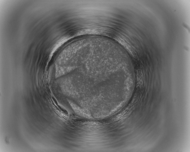 X0000097841070200804111058