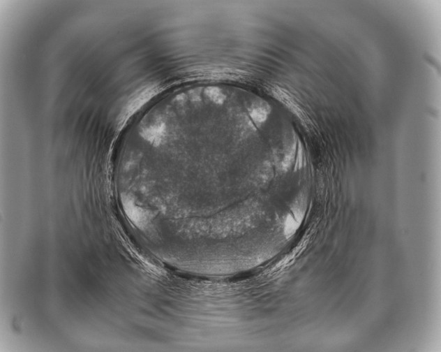 X0000097841071200804111058