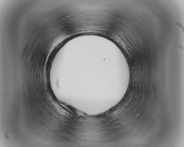 X0000097841072200804111058