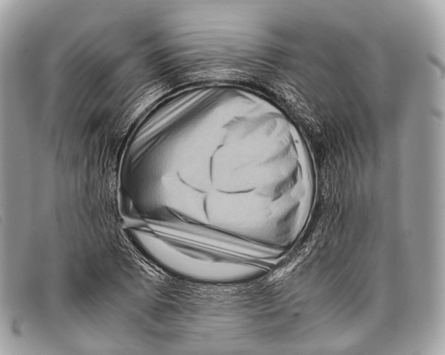 X0000097841073200804111058