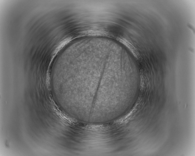 X0000097841074200804111058