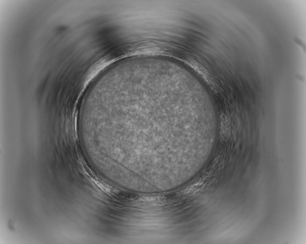 X0000097841078200804111058