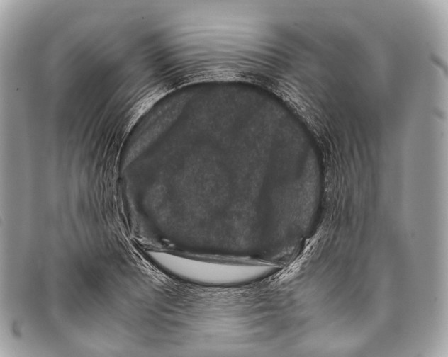 X0000097841081200804111058