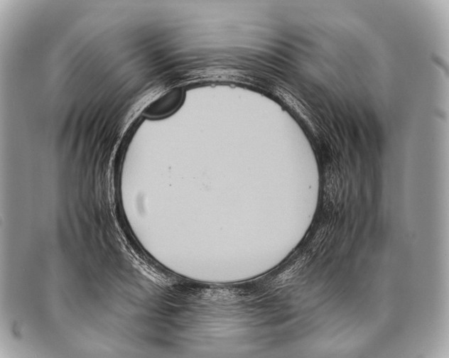 X0000097841082200804111058