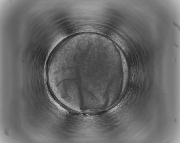 X0000097841084200804111058