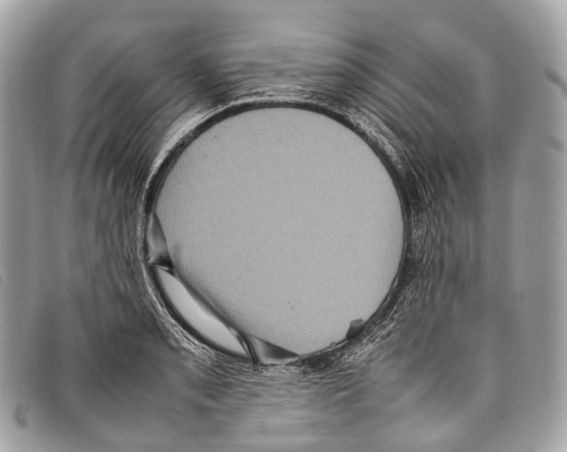 X0000097841085200804111058