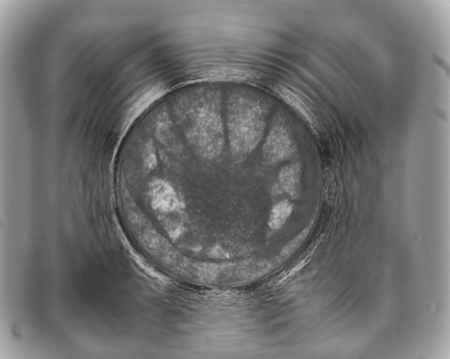 X0000097841087200804111058