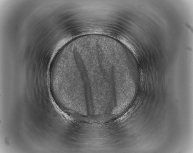X0000097841088200804111058