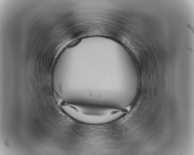 X0000097841089200804111058