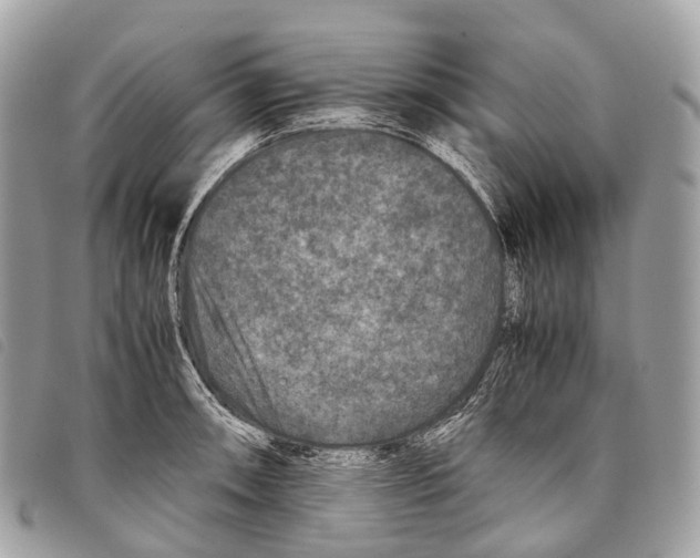 X0000097841090200804111058