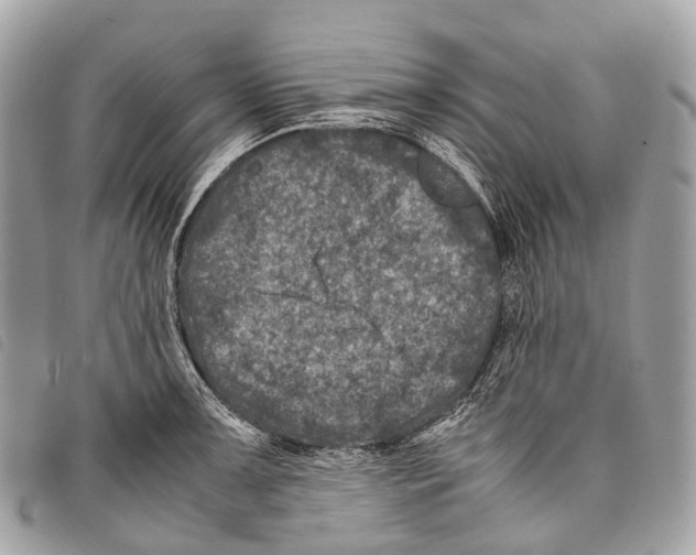 X0000097841091200804111058