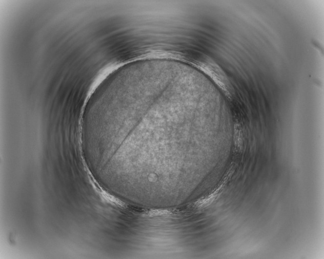 X0000097841094200804111058