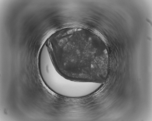 X0000097841095200804111058