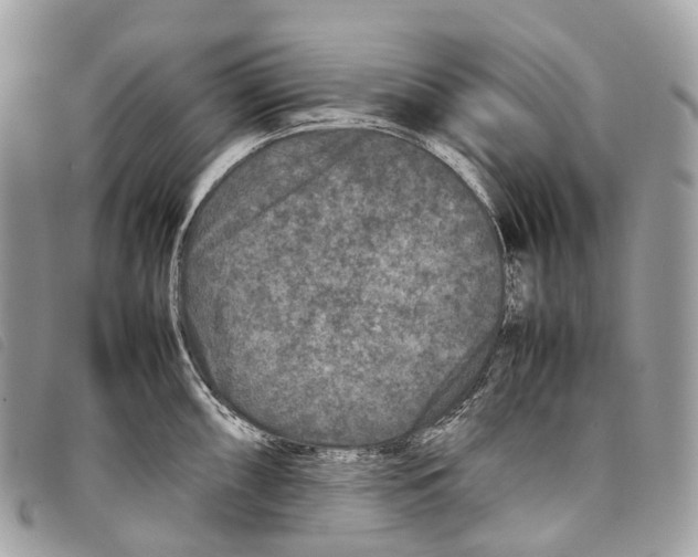 X0000097841098200804111058