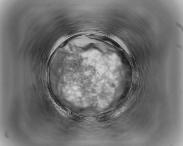 X0000097841101200804111058