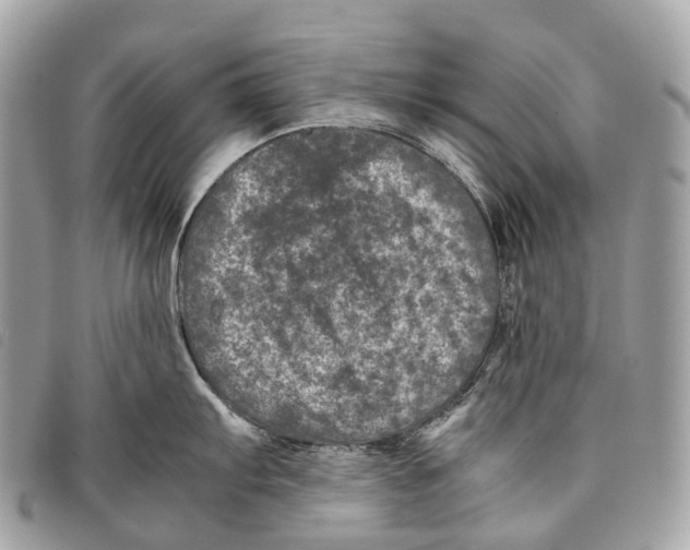 X0000097841103200804111058