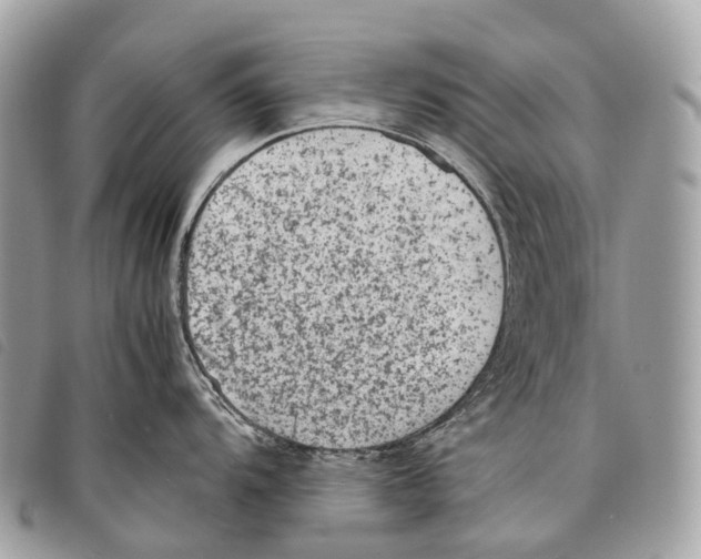 X0000097841104200804111058