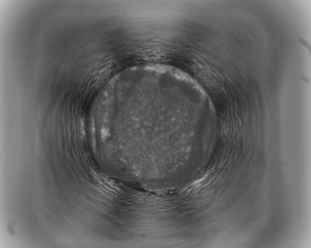 X0000097841106200804111057