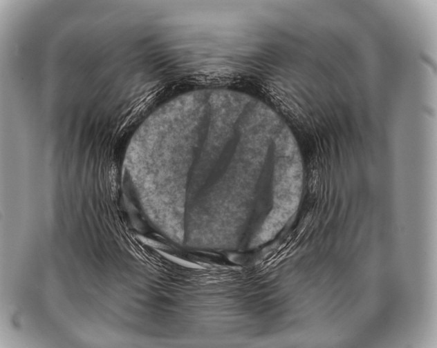 X0000097841108200804111057