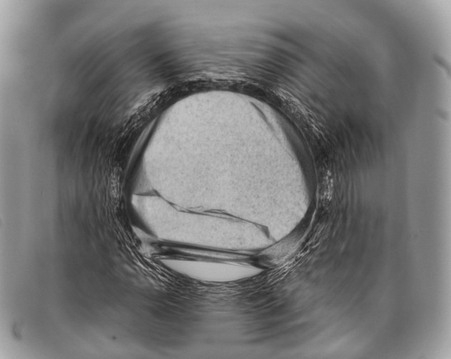 X0000097841110200804111057