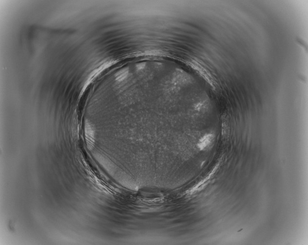 X0000097841117200804111057