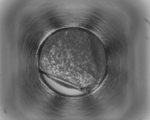 X0000097841118200804111057