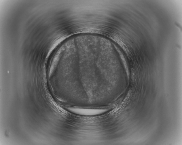 X0000097841120200804111057
