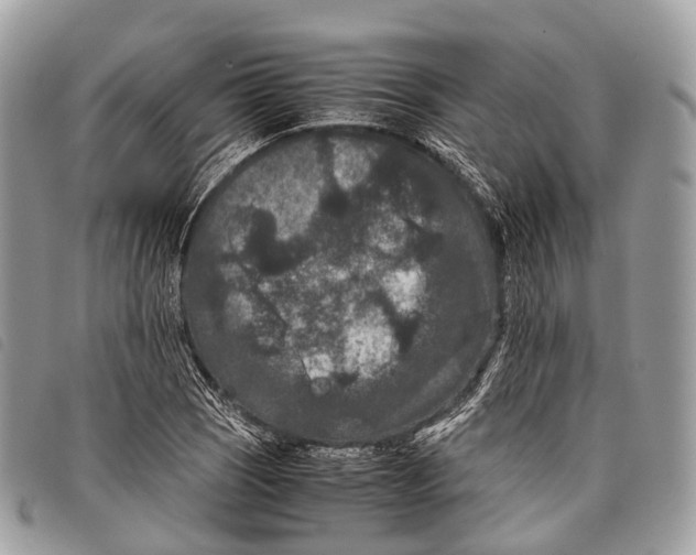 X0000097841121200804111057