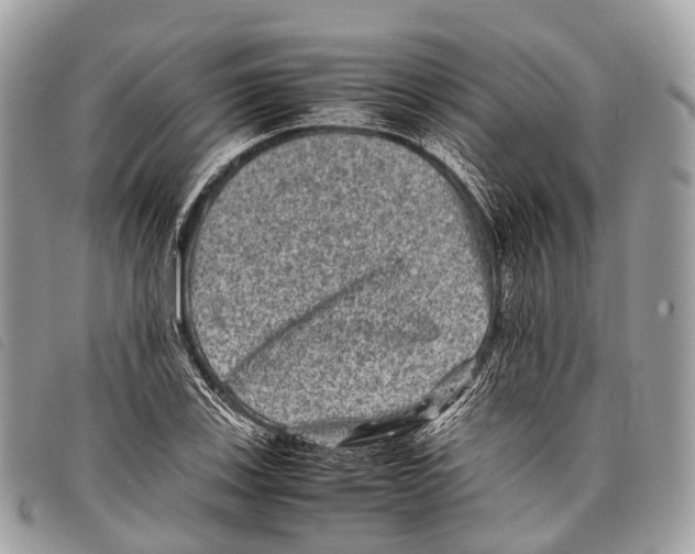 X0000097841123200804111057