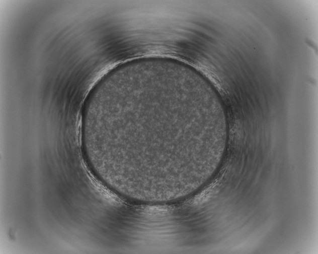 X0000097841126200804111057