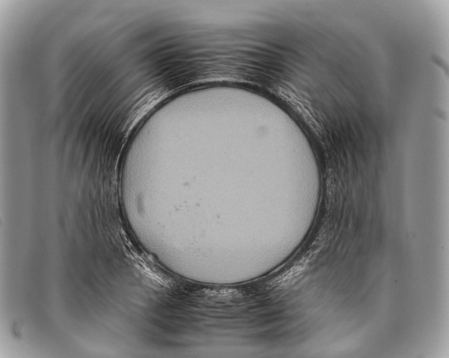 X0000097841129200804111057