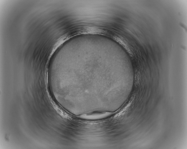 X0000097841130200804111057