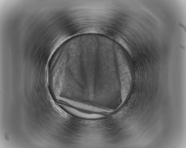 X0000097841132200804111057