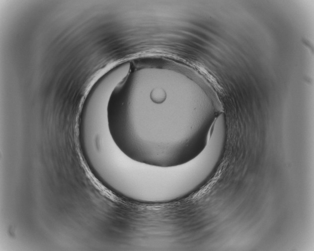 X0000097841134200804111058