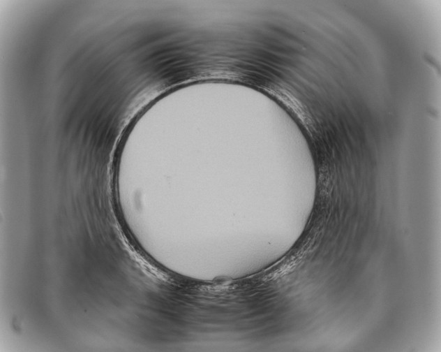 X0000097841135200804111058