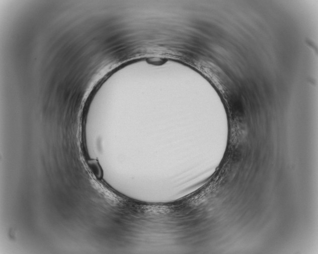 X0000097841136200804111058