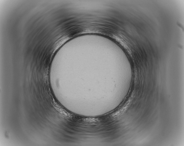 X0000097841137200804111058