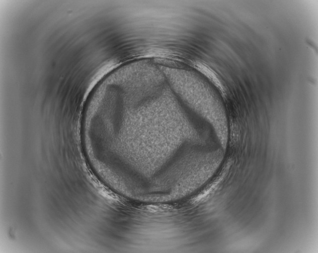 X0000097841138200804111058