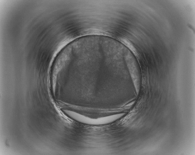 X0000097841144200804111058