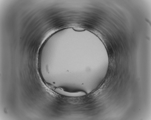 X0000097841147200804111058