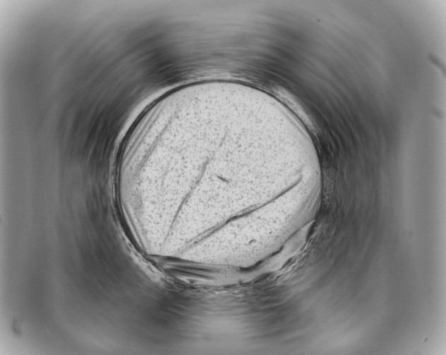 X0000097841148200804111058