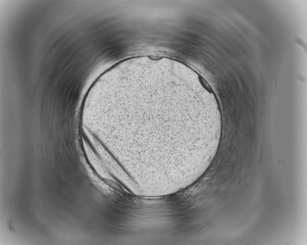 X0000097841152200804111058